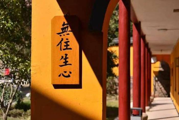 无住是什么意思 - 无住是什么意思啊