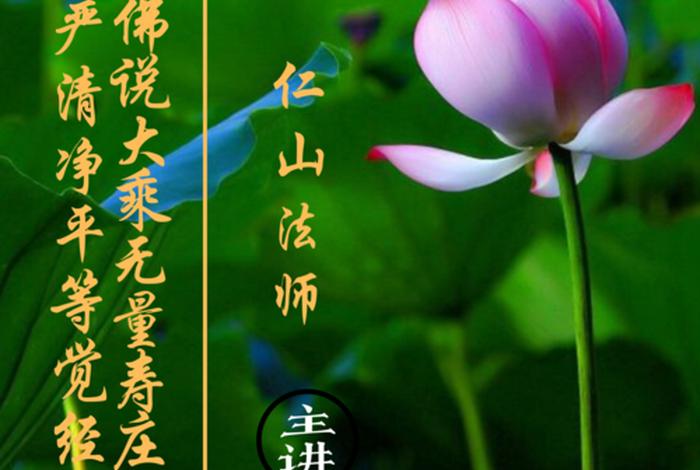 无量寿经讲解600集、无量寿经讲解600集第21集