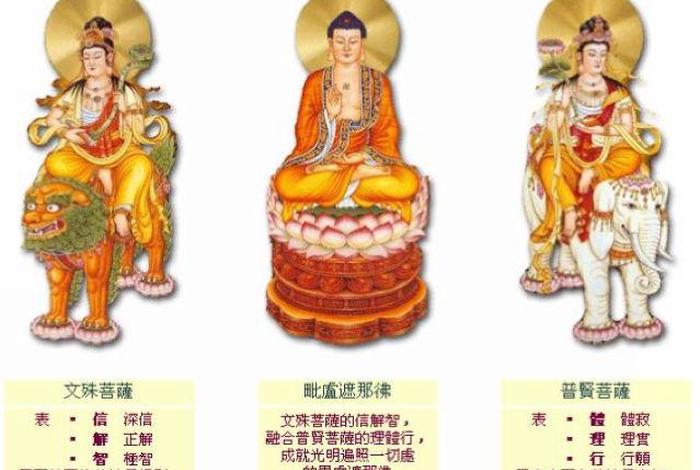 华严三圣含义；华严三圣的意义
