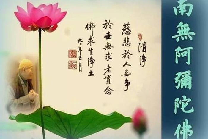 念佛成佛的故事视频、念佛成佛故事二十则