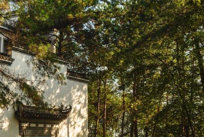 十方从林（十方丛林书院）