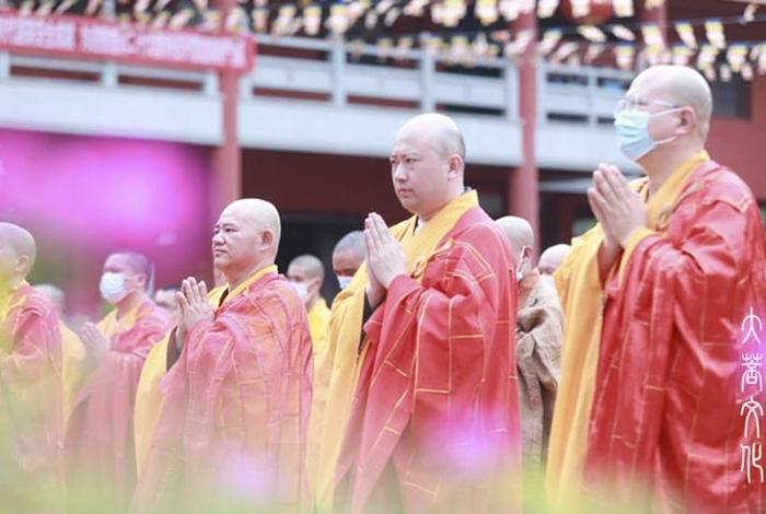 佛教法会视频全集视频，大型佛教法会视频