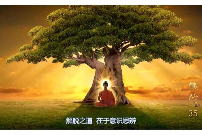 佛法不传什么人；佛陀传法49年却说没有传一法