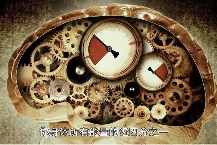 你应该知道的科学第一季免费观看，你想知道的科学第二季
