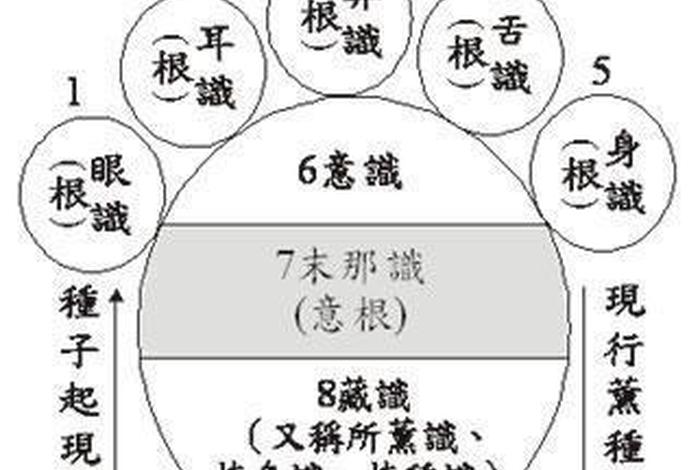 佛教八识最精确的解释，末那识和阿赖耶识的关系