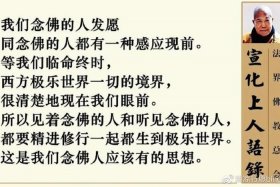 信佛教有什么讲究 信佛教有什么讲究吗