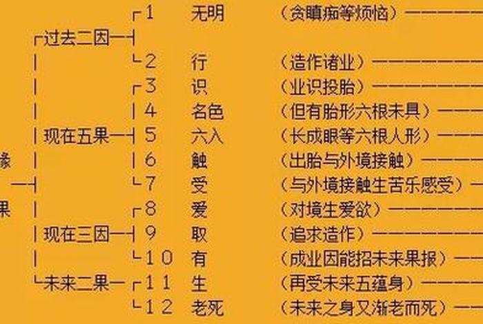 十二因缘法的正确解读；十二因缘法是如何修行的