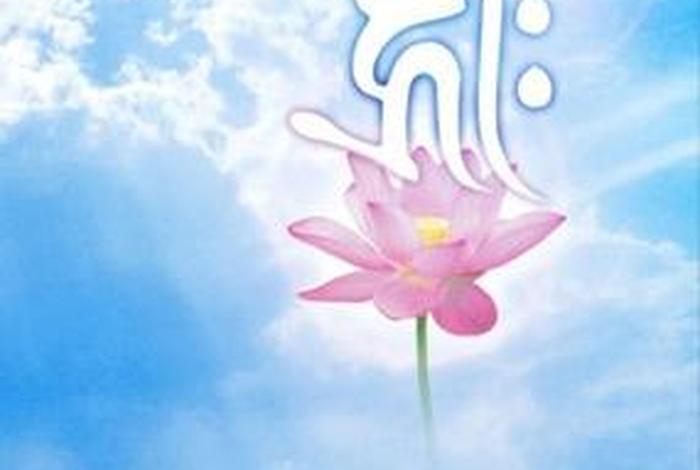 佛教莲花图片大全头像有文字（佛教莲花图片大全头像 禅意）