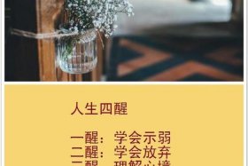 佛曰人生有四苦（人生四苦是什么）