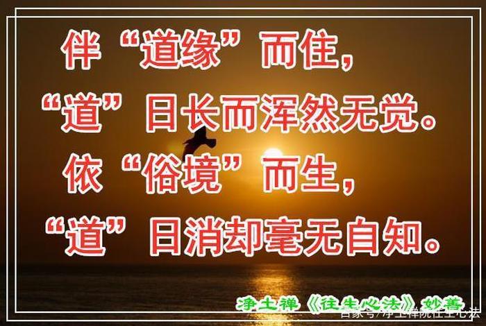 善根是什么意思好不好，善根指什么