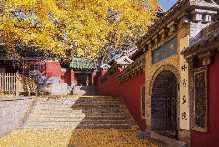 少林寺解读，少林寺含义