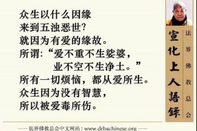佛教因果知识视频大全（佛教因果知识视频大全讲解）