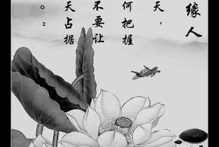 佛教渡人知识有哪些呢图片；佛教 渡