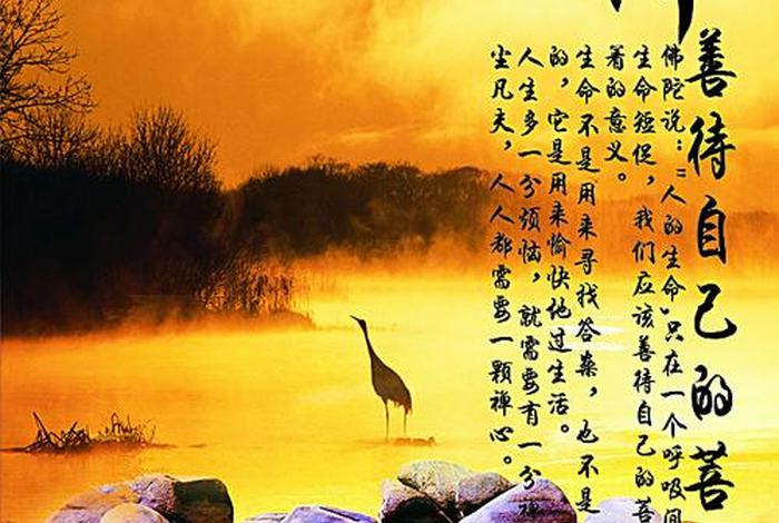 佛学经典图片（佛学图片意境）
