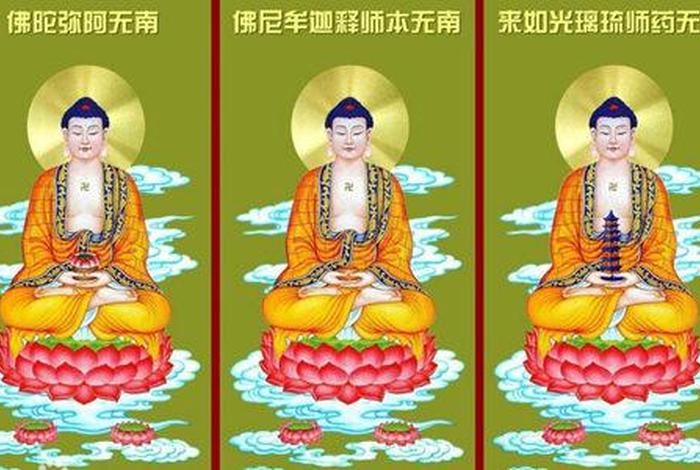 佛教的三宝是指哪三宝；佛教三宝是哪三个
