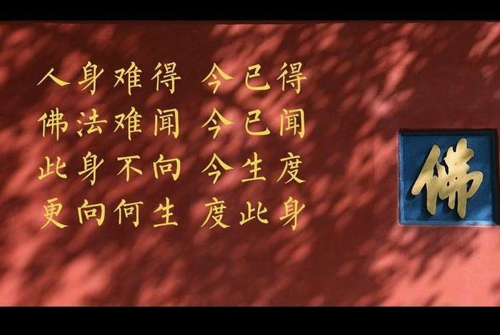 佛教8种苦的讲解，佛学里的苦