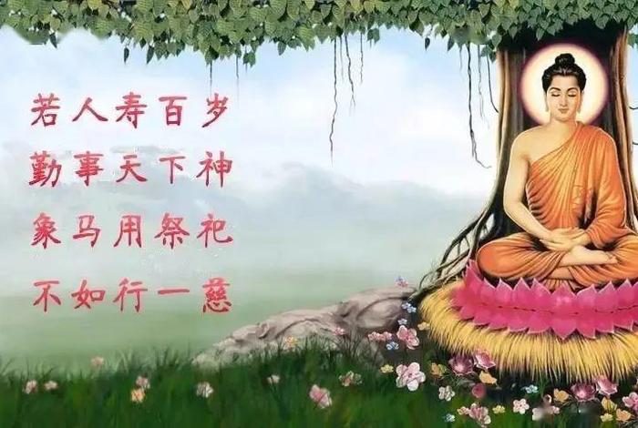 佛教有善缘恶缘的说法吗；佛讲善缘与恶缘