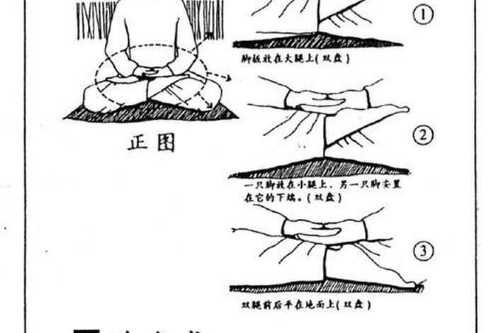 佛教坐禅的基础知识视频教程（佛教坐禅是什么意思）