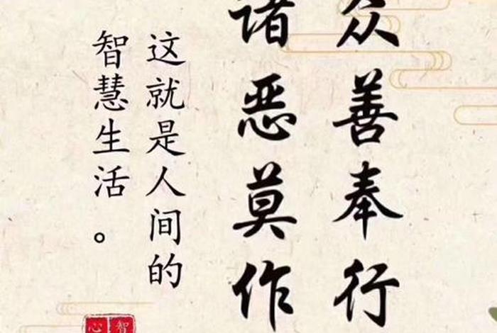 佛学会发心总结；佛学的心
