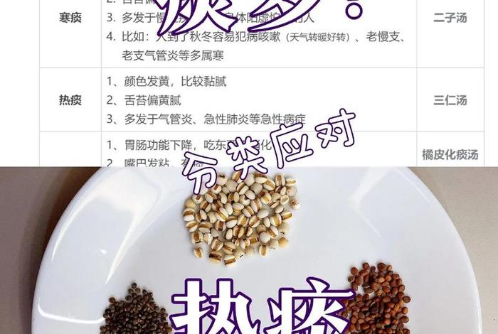 痰多是什么道理（痰多什么意思）