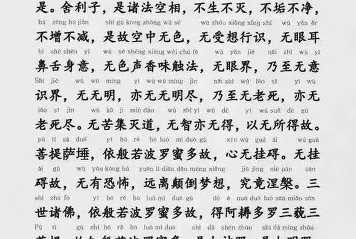 佛教法会用到的经文 佛教法会用到的经文是什么