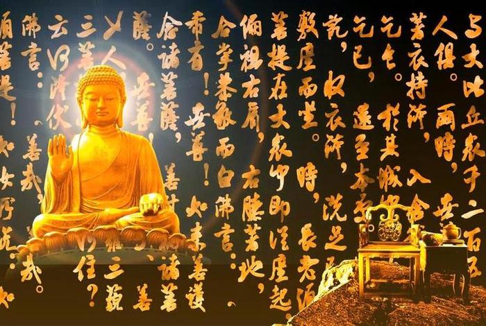 佛教文化视频大全 - 佛教文化视频大全下载