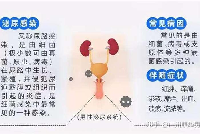 男性生理性知识科普 男性生理方面的问题有哪些