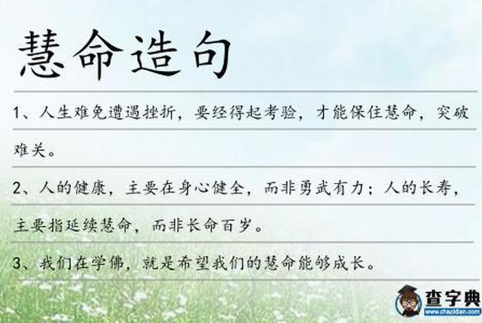 身命和慧命 - 生命性命慧命