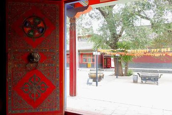 寺庙佛教小知识大全集视频，寺庙佛教小知识大全集视频讲解
