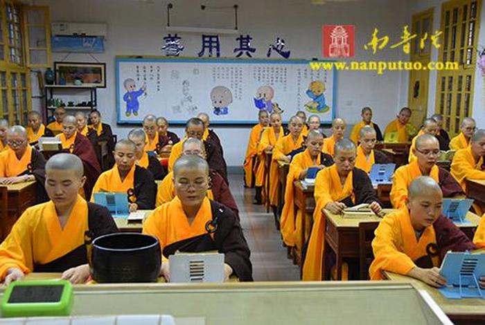 大学佛学视频教程，佛教佛学院讲述视频