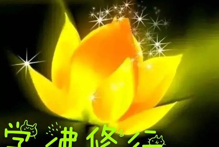到底什么叫修行（什么是修行？）