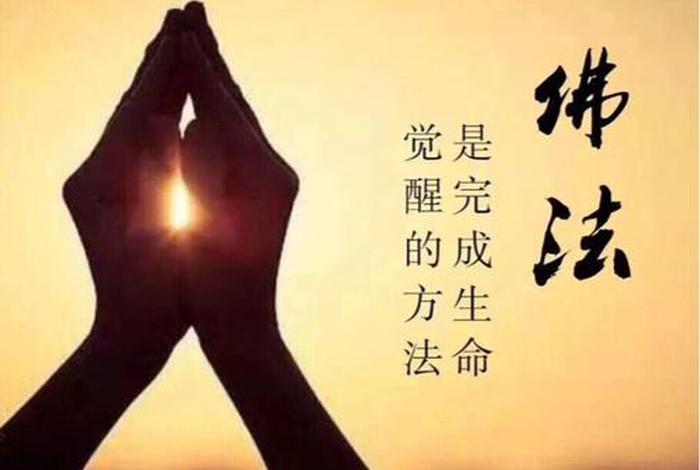 信佛的人真的能懂佛吗 信佛的人会怎么样