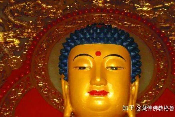 网上传播佛教知识违法吗知乎（佛教网上宣传）