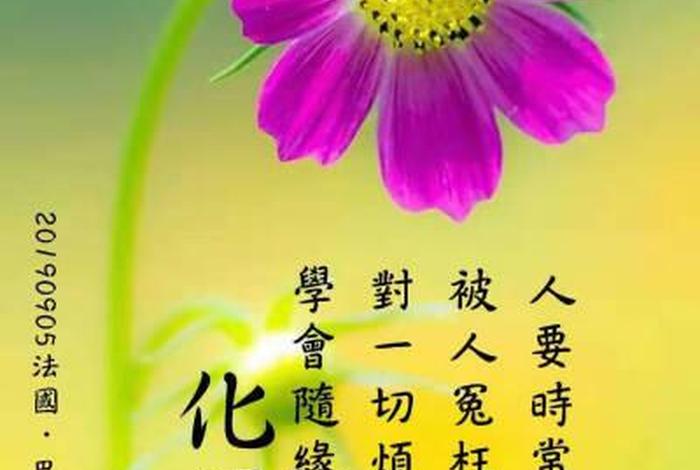 发菩提心有什么样的功德、啥叫发菩提心
