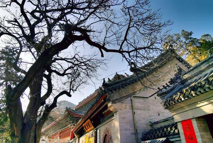 大悲古寺2020年最新视频，大悲古寺 大悲寺