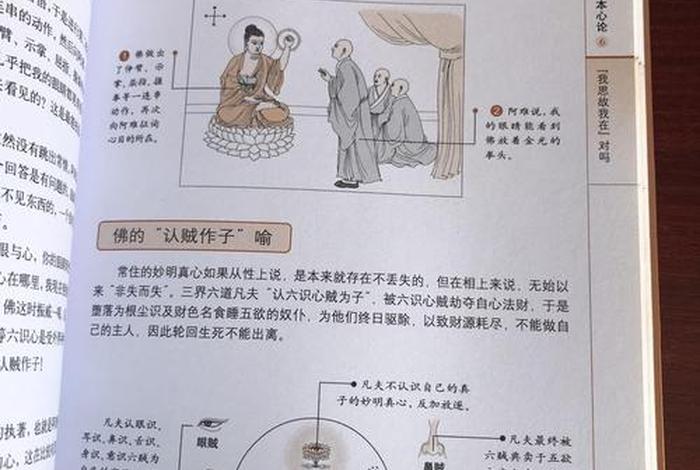 想了解佛教经典从哪本经书看，想看佛经从哪里开始