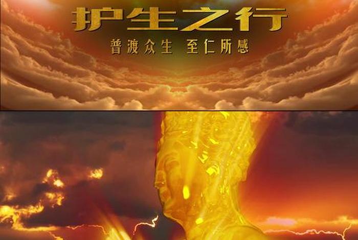 佛教视频下载总库 - 免费下载佛教视频模板