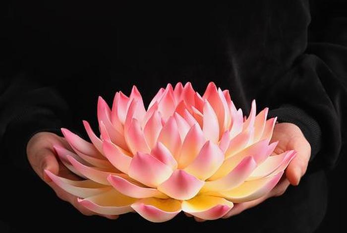 莲的佛教禅意，佛教莲花的寓意