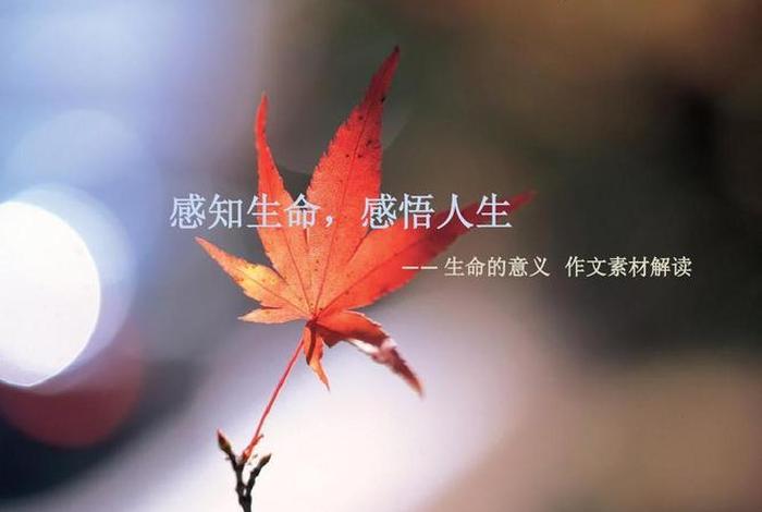 佛教认为生命的真谛（佛教认为生命的意义）