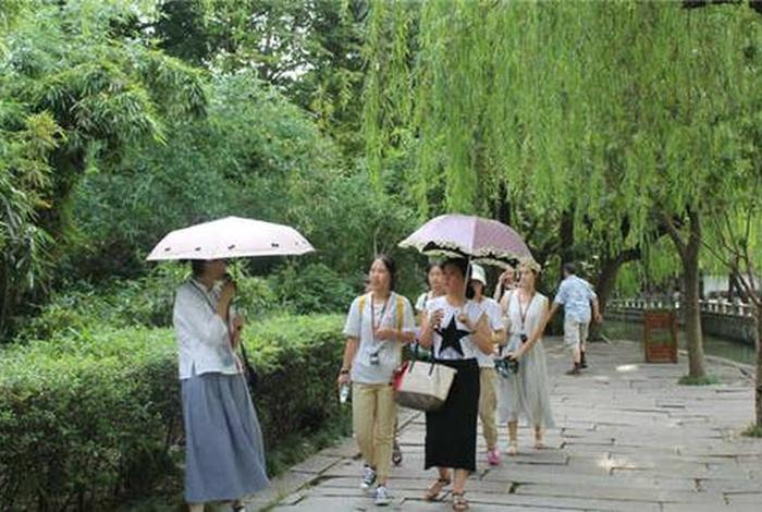 导游从哪里开始学习、导游能学到什么