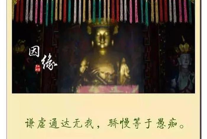 佛教的愚痴简单解释（佛说愚痴的原因）
