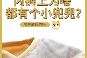 名字兜兜什么意思、兜兜取名字
