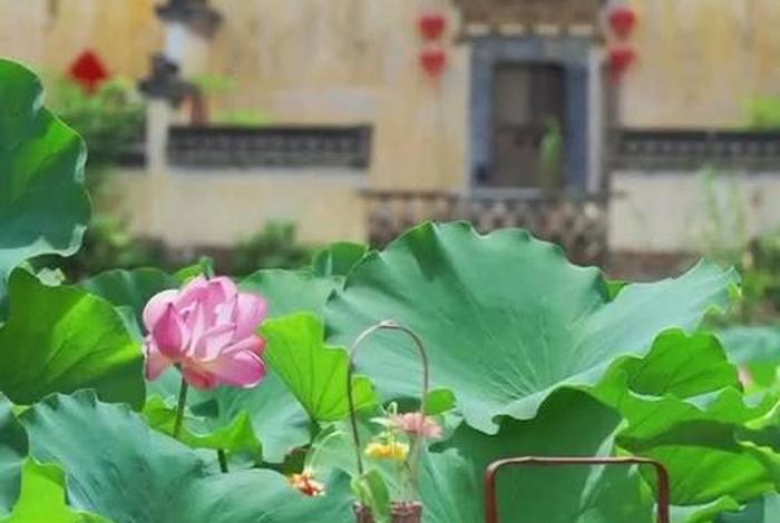 寻找佛语；寻找佛缘电影