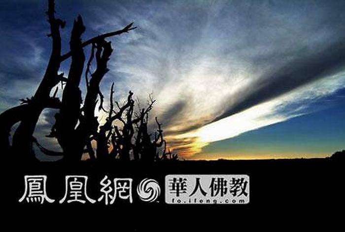 凤凰佛学、凤凰佛学一日禅