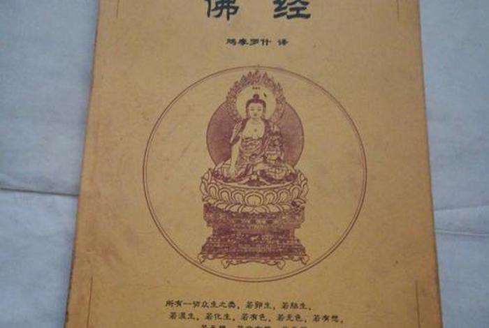 佛教出家人学专业知识的书籍;出家人必读的佛经 佛教出家人学专业知识的书籍;出家人必读的佛经