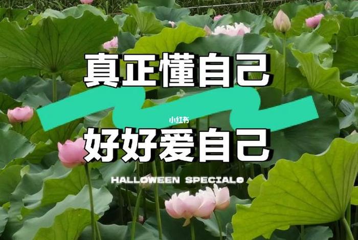 好好爱自己懂养生（好好爱自己,爱生活）