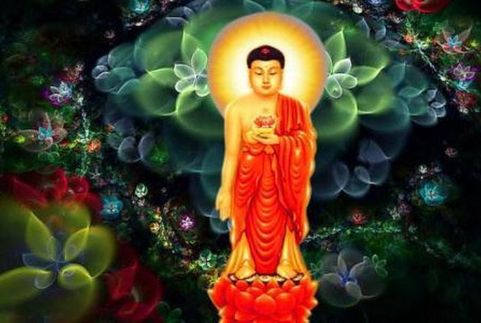 对佛教反感（为什么对佛教反感）