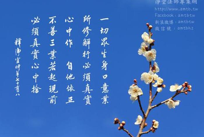佛教讲的业力是什么意思？；业力到底是什么