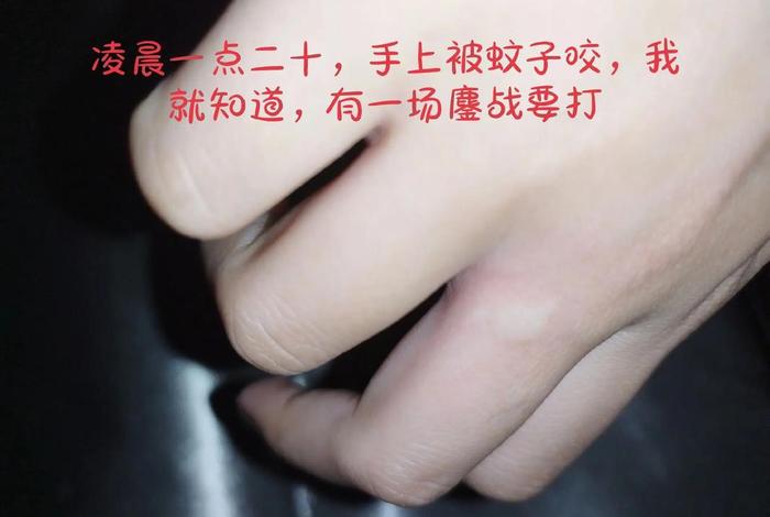 佛教徒可以杀蚊子吗；信佛可以杀蚊子吗