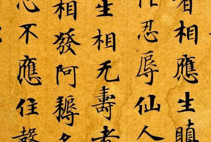 武则天佛教经文，武则天佛经前面四句话